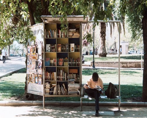 Persona leyendo un libro tranquilamente en un parque